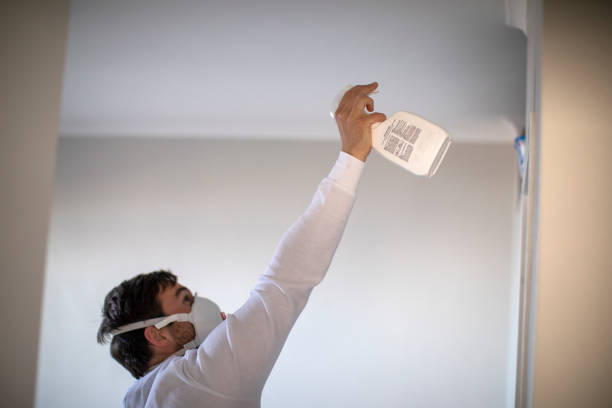 Best Home Mold Removal  in Proctor, VT