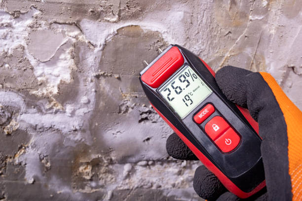 Best Residential Mold Removal  in Proctor, VT